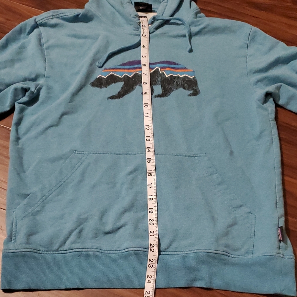 Patagonia Light Blue Hoodie with Bear Graphic - Picture 8 of 10